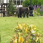 High Dalby House Hotel