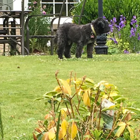 High Dalby House 酒店