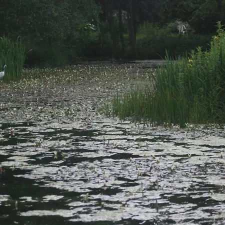 酒店 High Dalby House