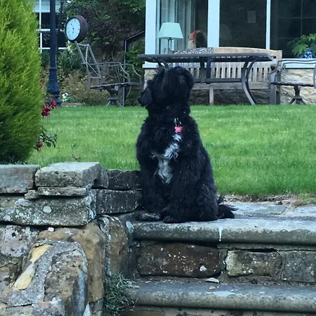 High Dalby House 酒店 皮克林